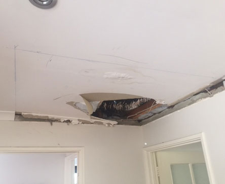 Ceiling Repair